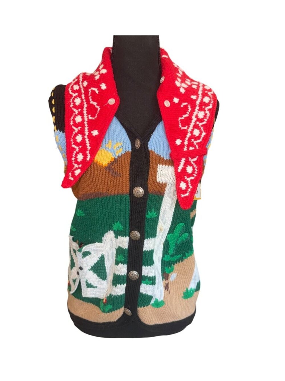VTG Eagles Eye Rodeo Ranch Hand Knit Sweater Vest Women S Western Cowgirl Novelt